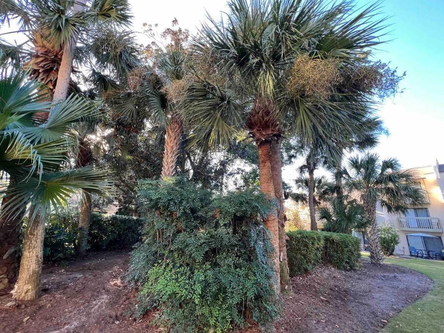 Spacious, Cozy Villa W/Parking In Coligny Villas Hilton Head Island Exterior photo